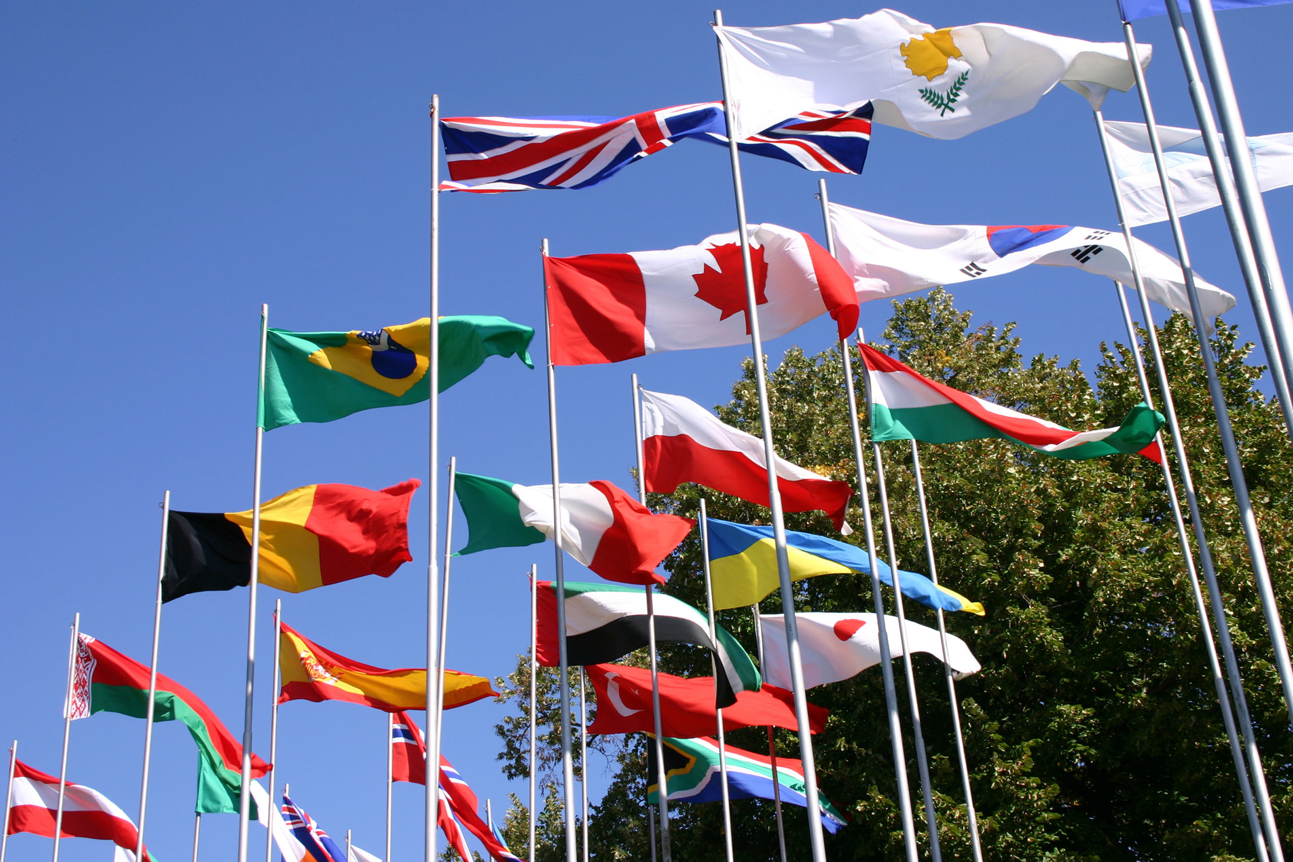Flags from multiple countries, including the UK, Brazil, Canada, and South Korea, wave on flagpoles under a clear blue sky.